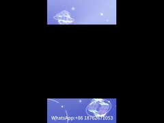 ทัวร์โบ ปลาหลัง